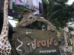 -清迈夜间动物园