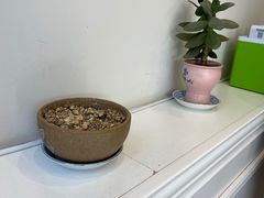 -阿水大杯茶(韩乐坊西街店)