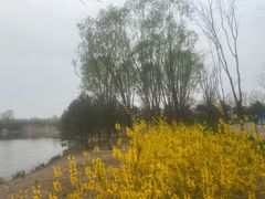-东郊湿地公园
