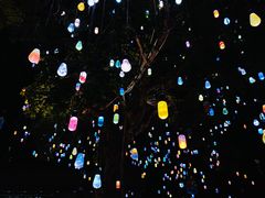 -美奈小馆·东南亚菜(福田星河COCO Park店)