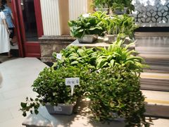 -绿杨春·淮扬宴(庐山路店)