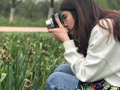 -杭州湾海上花田景区