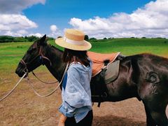 -塞罕坝国家级自然保护区