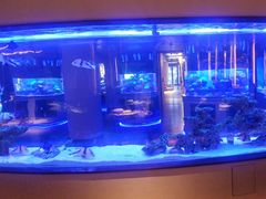 -上和臻品中国菜(花园街店)