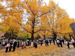 -四川大学(华西校区)