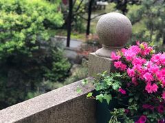 -上海醉白池公园
