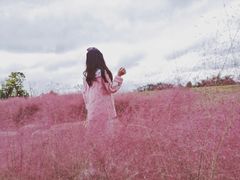 -白鹭湾湿地公园