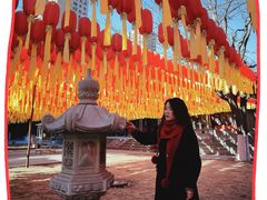 -护国法轮寺