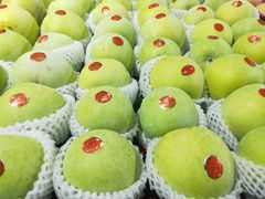 -江杨农产品批发市场