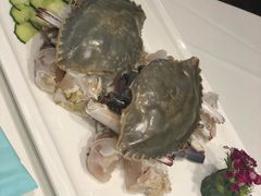 -新花城蟹粉馆(乌鲁木齐店)