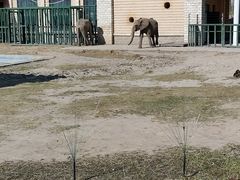 -哈尔滨北方森林动物园