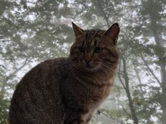 -终南山南五台景区