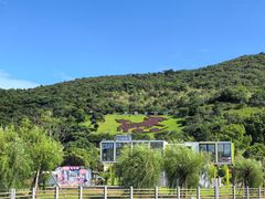 -东海半边山旅游度假区