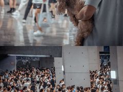 -沈阳奥林匹克体育中心