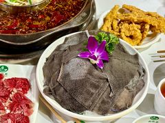 -枇杷园食为鲜火锅(南山店)