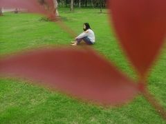 -瑶湖郊野森林公园