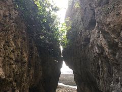 -鹅銮鼻公园