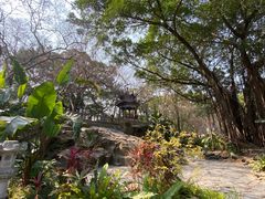 -乌山风景区