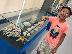 -上海海洋大学鱼文化博物馆(军工路校区)