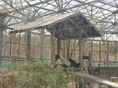 -鄂尔多斯野生动物园