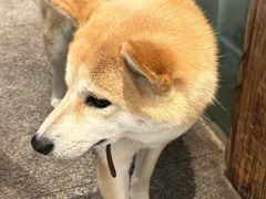 -三目仓咖啡(贤南路店)