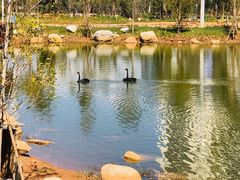 -云南艺术学院(呈贡校区)