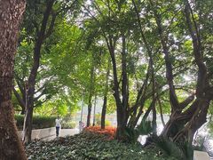 -荔湾湖公园