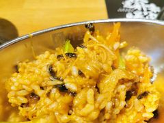 肥牛石锅拌饭-秋木烤肉·韩国牛肉名家(高新旗舰店)