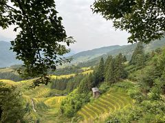 -龙脊梯田