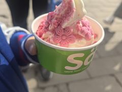 -Salud撒露欧洲冻酸奶(五道口购物中心店)