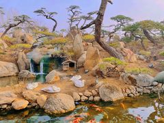 -罗红摄影艺术馆