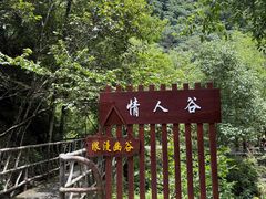 -石台牯牛降景区