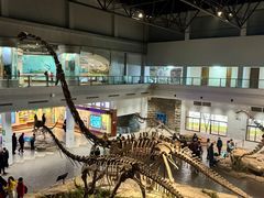 -自贡恐龙博物馆
