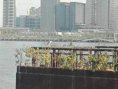 -丹东路渡口(轮渡站)