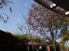 -杭州君悦酒店·青莳