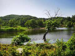 -安徽大青山野生动物世界