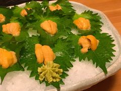 鲜活海胆-王鼎精致料理铁板烧(世博源店)