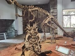 -自贡恐龙博物馆