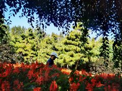 -长春公园(普阳街道)