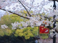 -范蠡湖公园