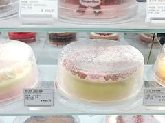-哈根达斯(石家庄北国店)