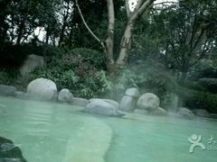 -青城道汤池