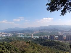 -风云岭森林公园