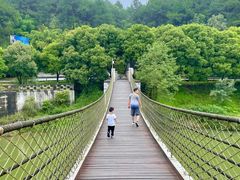 -铁山坪森林公园