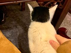 -一盃山水咖啡茶馆