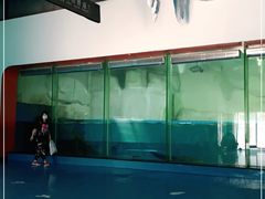 -泉城欧乐堡海洋极地世界