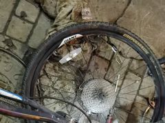 -肖氏修车行(严丰路店)