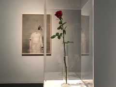 -清华大学艺术博物馆