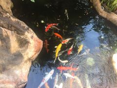 -曼谷王子宫殿酒店