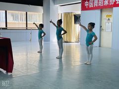 -舞蕾舞蹈(特长生校区)
